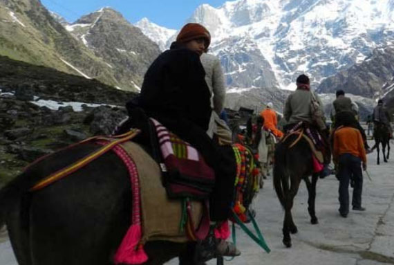 केदारनाथ यात्रा: गौरीकुंड से 1709 घोड़ा-खच्चर सवारी लेकर पहुंचे धाम… यात्रियों को बड़ी राहत