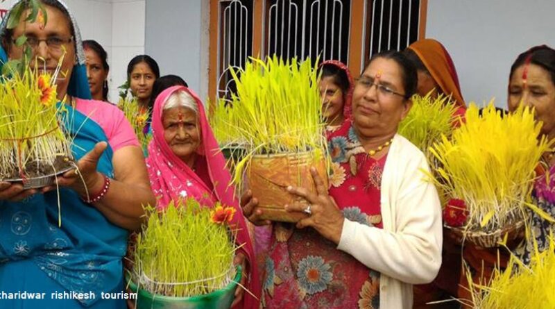 उत्तराखंड में हर्षोल्लास से मनाया जा रहा है हरेला पर्व, पर्यावरण संरक्षण का दिया संदेश