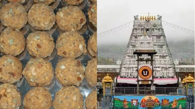 तिरुपति लड्डू घोटाला: उत्तराखंड की डेयरी से पहुंचा 68 लाख किलो ‘नकली घी’, एसआईटी जांच में जुटी