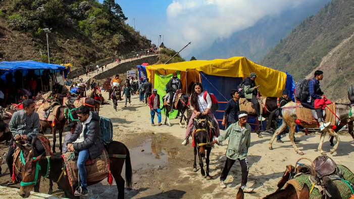 केदारनाथ यात्रा से पहले घोड़ा-खच्चरों के पंजीकरण शुरू… बीमा शुल्क बढ़ने पर संचालकों का विरोध