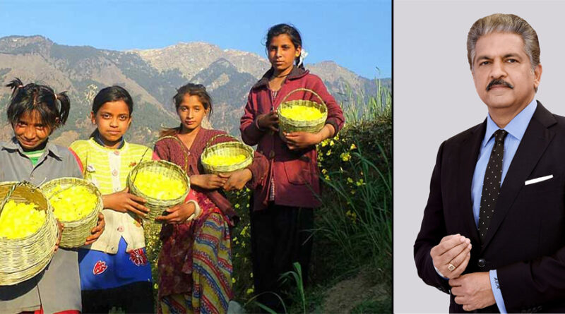 उत्तराखंड की फूलदेई पर मुग्ध हुए आनंद महिंद्रा, दुनिया तक पहुंचाने की कही बात