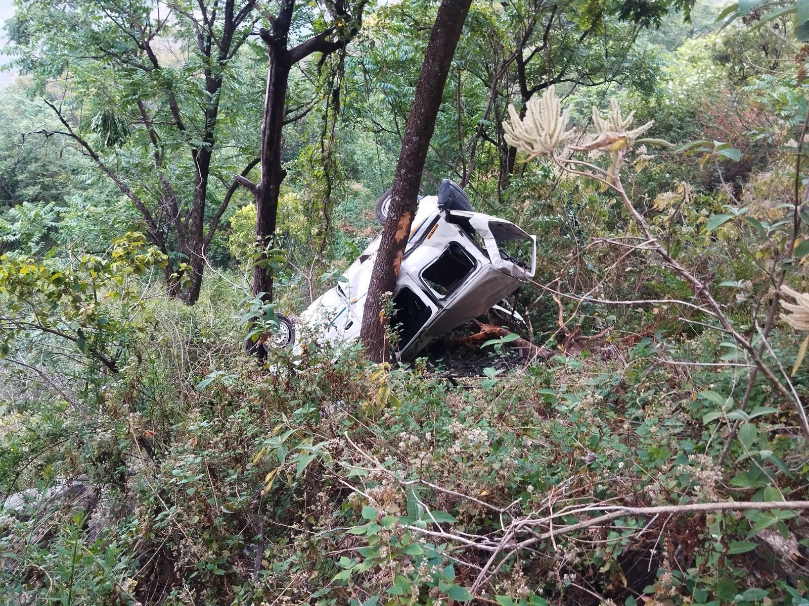 रुद्रप्रयाग: भीरी में 250 मीटर गहरी खाई में कार गिरने से दर्दनाक हादसा, तीन लोगों की मौत